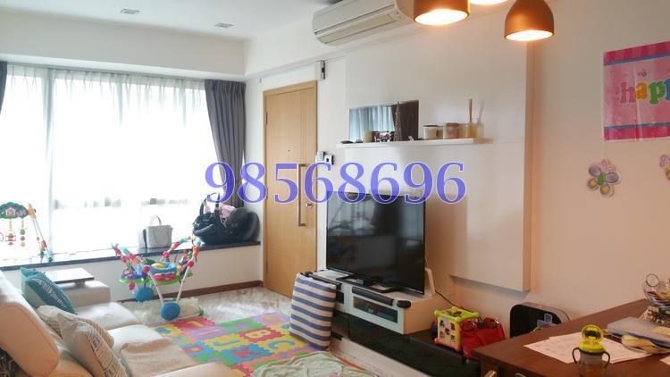 Iridium (D11), Apartment #110883802